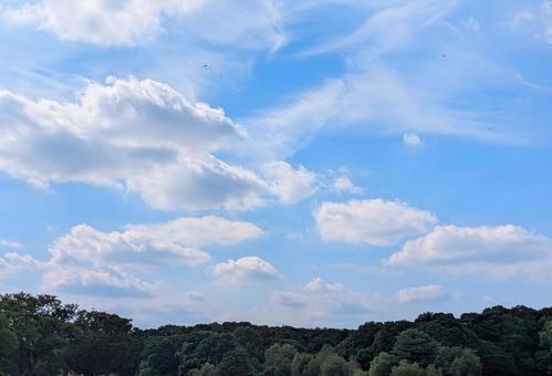 空 空の写真