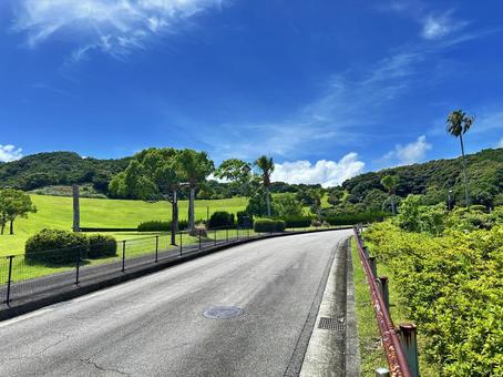 公園 夏の風景 公園 夏の風景 太地町森浦,公園,公共施設の写真素材