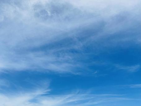 空背景の写真