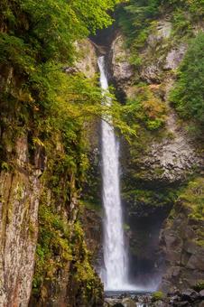 根尾の滝 秋( 飛騨小坂)  根尾の滝 秋( 飛騨小坂)  根尾の滝,渓流,渓谷の写真素材
