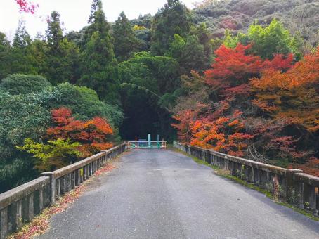光市指定史跡　向山文庫周辺の風景 山口県,光市,指定史跡の写真素材