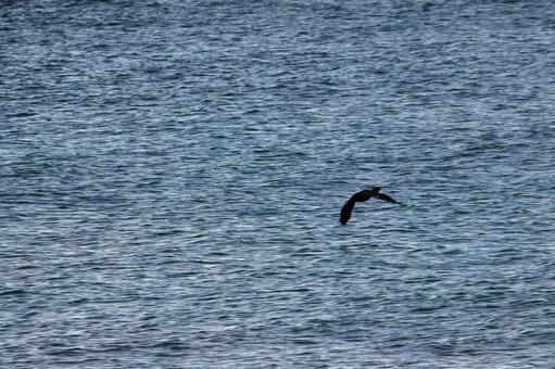 福井県高浜の海 福井県高浜の海 福井県,大飯郡,高浜町の写真素材