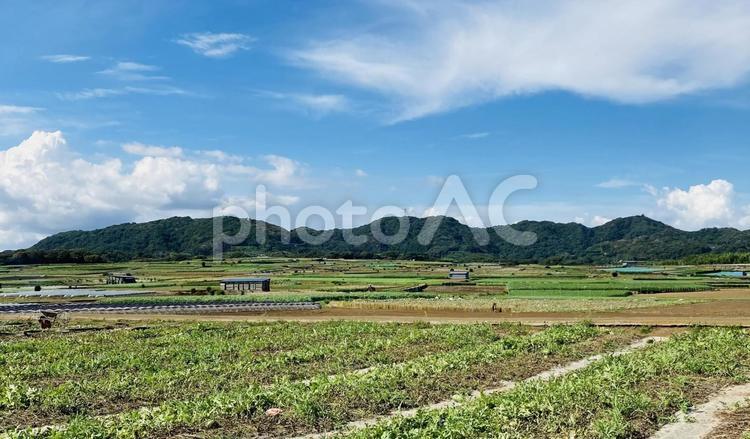 のどかな田舎の畑の風景 田舎,いなか,のどかの写真素材