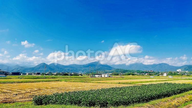 田舎の風景 田舎,田んぼ,農村の写真素材