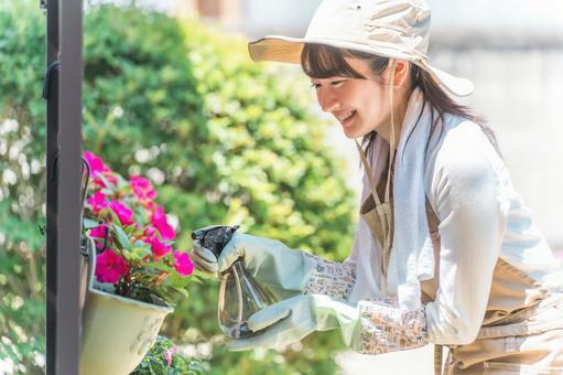ガーデニングフェンスの花に水やりする女性 ガーデニングフェンスの花に水やりする女性 ガーデニング,ガーデナー,水やりの写真素材