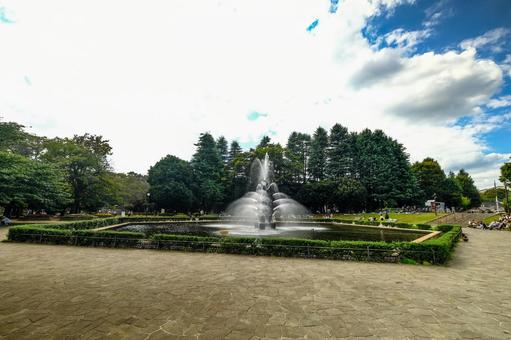 世田谷公園 世田谷公園の写真