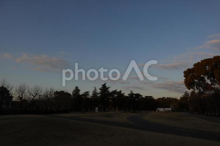 日の出直前の鶴舞公園 鶴舞公園,名古屋,有明の月の写真素材