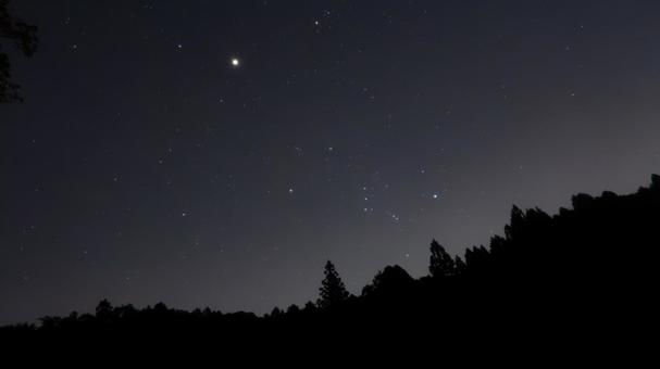 森にひそむオリオンの輝き 森にひそむオリオンの輝き 森,潜む,オリオン座の写真素材