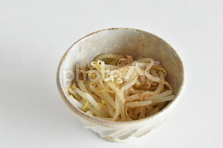 ＜副菜＞もやしのナムル もやし,ナムル,ごまの写真素材