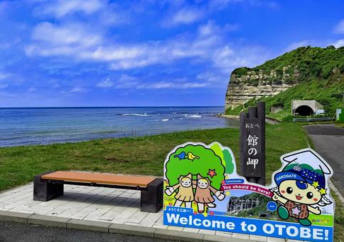 北海道 館の岬(たてのさき) 北海道 館の岬(たてのさき) 海,断崖,絶壁の写真素材