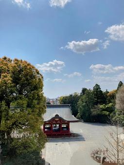 鶴岡八幡宮 鶴岡八幡宮 鶴岡八幡宮,鎌倉,神社の写真素材