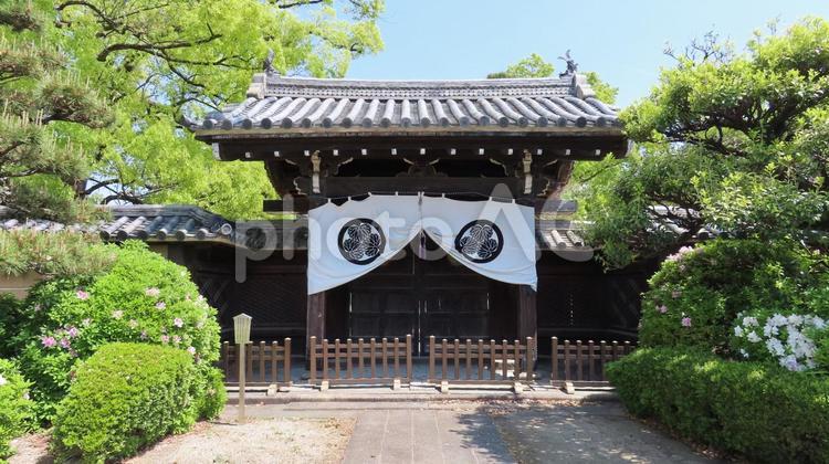 建中寺　御成門　幔幕あり 建中寺,尾張徳川家,菩提寺の写真素材