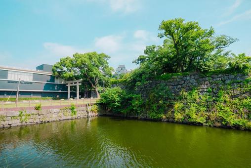 Photo, wakayama, wakayama city, 2025, 