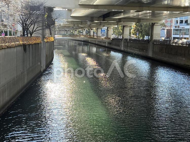 横浜・元町と中華街の間を流れる中村川 中村川,首都高速,横浜の写真素材