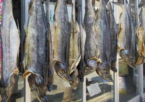Photo, salmon, village listed, niigata prefecture, 