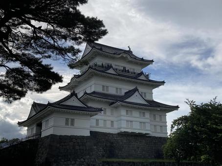 小田原城の写真