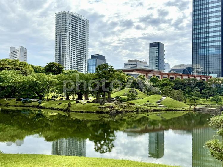 6月　旧芝離宮恩賜庭園 旧芝離宮恩賜庭園,都会の自然,6月の写真素材