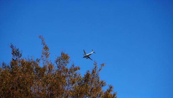 Autumn, blue sky, autumn sky, colored leaves, park Autumn, blue sky, autumn sky, colored leaves, park