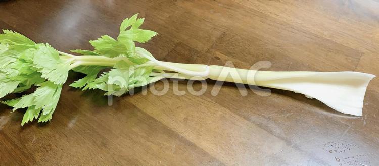 野菜　セロリ　食材　フリー素材 セロリ,食材,野菜の写真素材