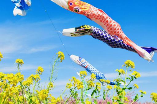 Carp streamer Children's Day image, JPG Carp streamer Children's Day image, carp streamer, children's day, image, JPG