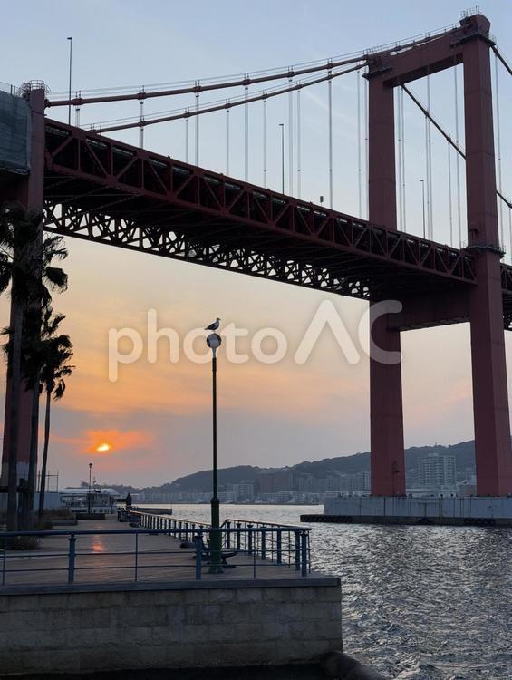 夕暮れ時の若戸大橋 インフラ,波止場,コンクリートの写真素材
