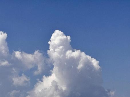 【風景写真】夏空 【風景写真】夏空の写真