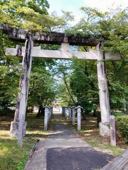 出石神社 出石神社の写真