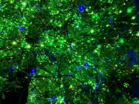 イルミネーション イルミネーション,電飾,光の写真素材