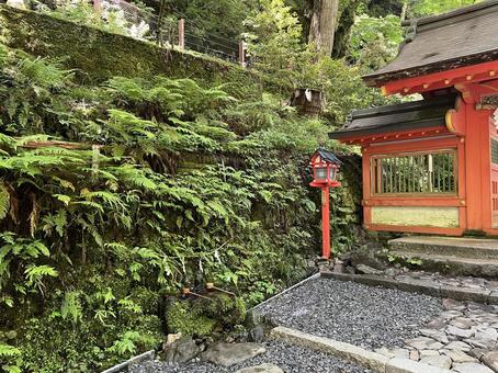 貴船神社 奥宮 貴船,神社,奥宮の写真素材