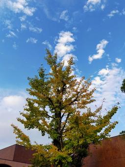 公園 公園の写真