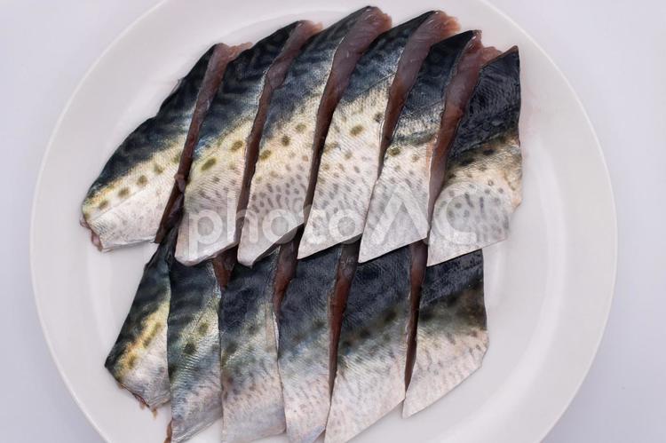 ごまさばの切り身 ごまさば,鯖,切り身の写真素材