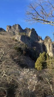 自然 自然の写真