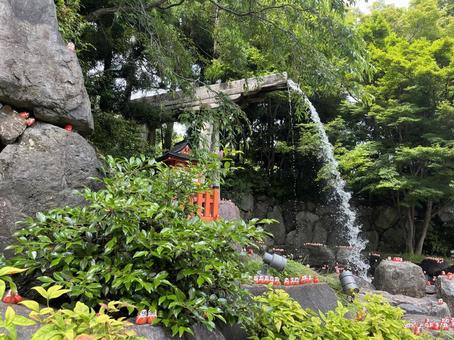勝尾寺 勝尾寺の写真