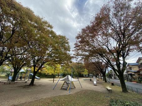 公園 公園の写真