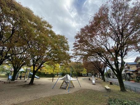 Photo, autumn leaves, park, wood, 