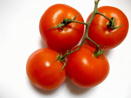 Branched tomato, tomato, vegetables, fruits, JPG