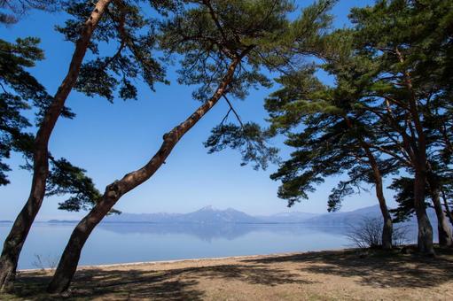 春の猪苗代湖と松林 春の猪苗代湖と松林 磐梯山,猪苗代湖,清らかの写真素材