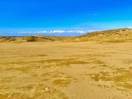 鳥取砂丘 鳥取,鳥取砂丘,鳥取県の写真素材