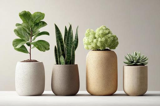 多様な緑の植物が並ぶ：インテリアグリーンの写真