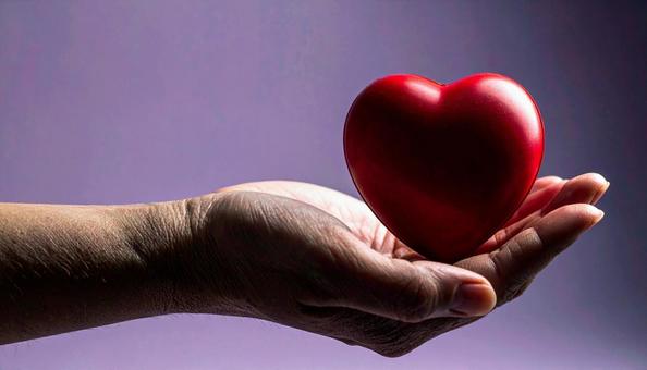 女性の手の平におかれたハート 女性の手の平におかれたハートの写真