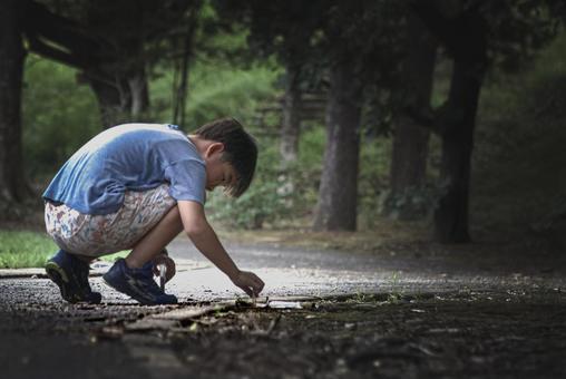 <素材>夏の公園で自由研究に虫を探す少年 <素材>夏の公園で自由研究に虫を探す少年 子供,昆虫採集,虫取りの写真素材