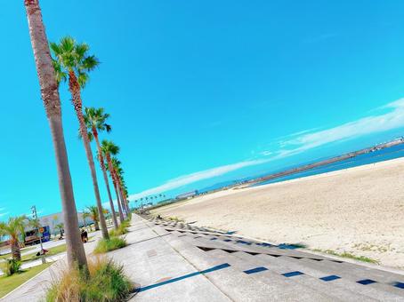 海 海,ビーチ,風景の写真素材