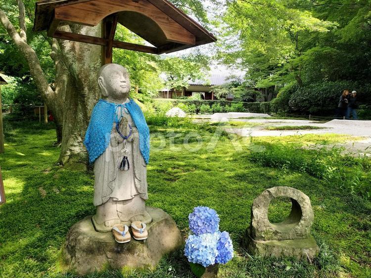鎌倉　明月院本堂後庭園の青地蔵様 青地蔵,明月院,明月院本堂後庭園の写真素材