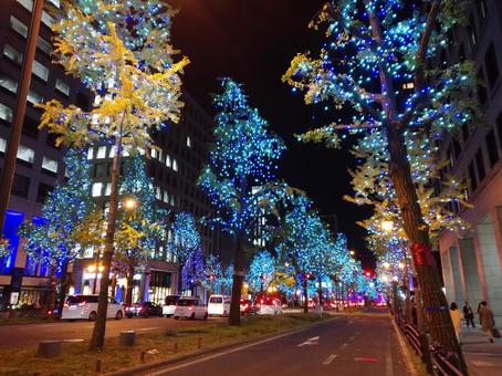 風景_冬（イルミネーション2） 風景,夜景,風物詩の写真素材