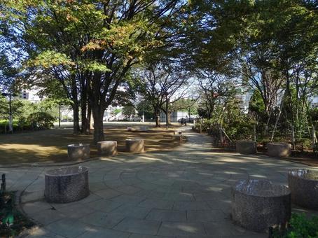 平成つつじ公園の広場 平成つつじ公園の広場 平成つつじ公園,公園,練馬区の写真素材
