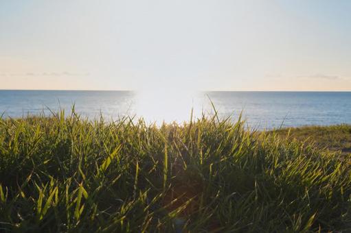 朝露に輝く草と海に伸びる日の光 朝露に輝く草と海に伸びる日の光の写真