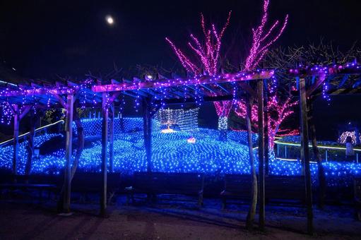 霞ヶ浦クリスマスイルミネーション・土浦市 冬,水郷桜イルミネーション,クリスマスの写真素材