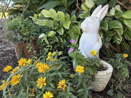 うさぎの置物とお花 うさぎの置物とお花 うさぎの置物,かわいい,ジニアの写真素材