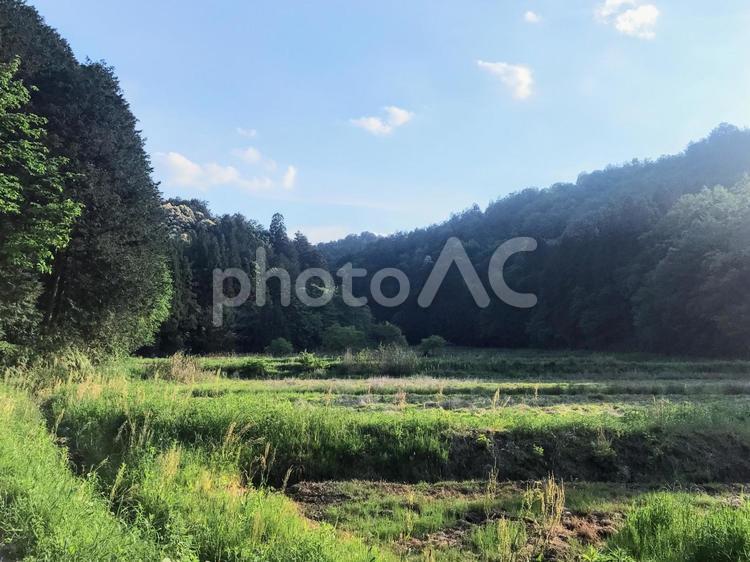 おだやかな田舎の風景 田舎,山里,グリーンの写真素材