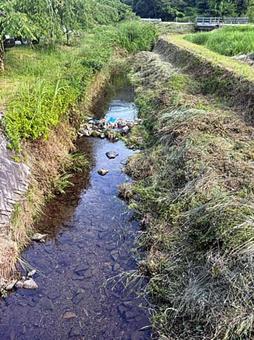 水路 水路の写真